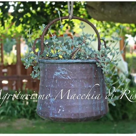 Macchia Di Riso