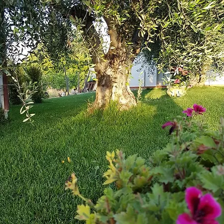Apartman Macchia Di Riso *