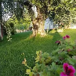 Appartamento Macchia Di Riso *