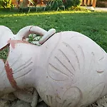 Macchia Di Riso