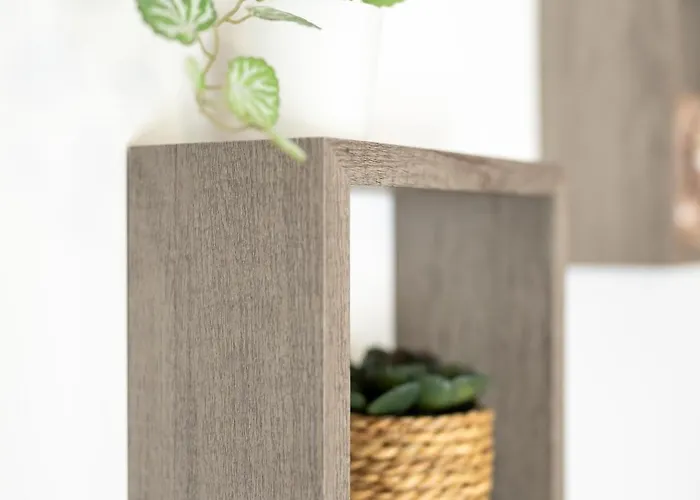 Macchia Di Riso * Nova Siri Marina