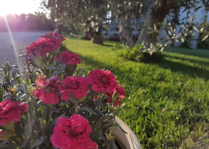 Appartamento Macchia Di Riso