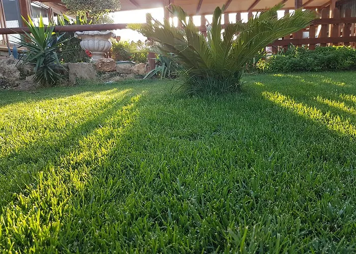 Macchia Di Riso * Nova Siri Marina