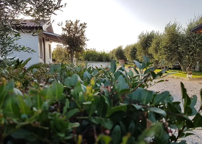 Macchia Di Riso Appartamento Nova Siri Marina